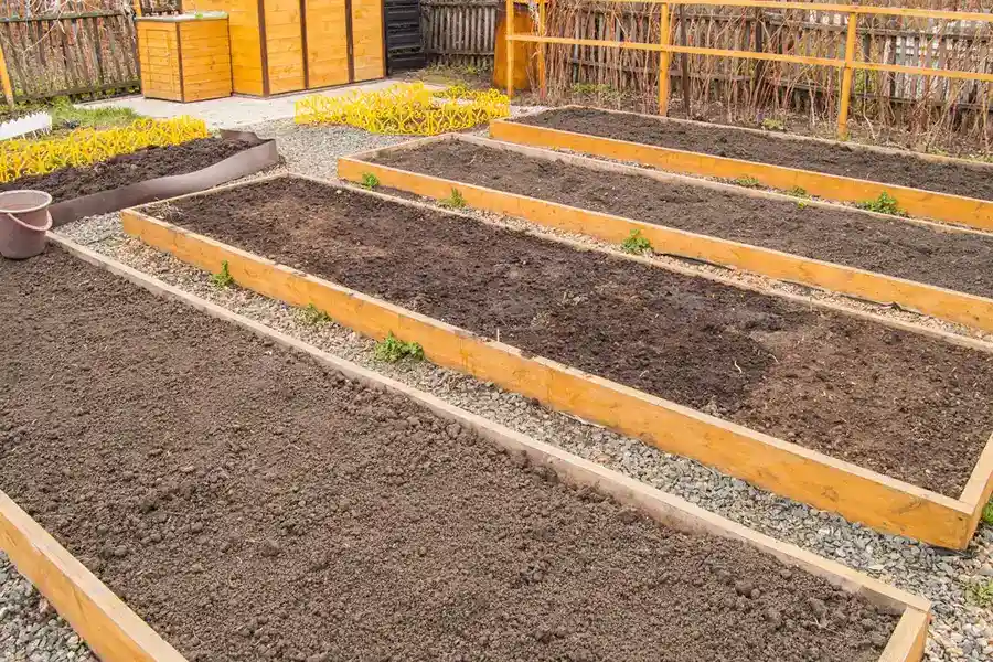 Alonso Landscaping and Construction's other services