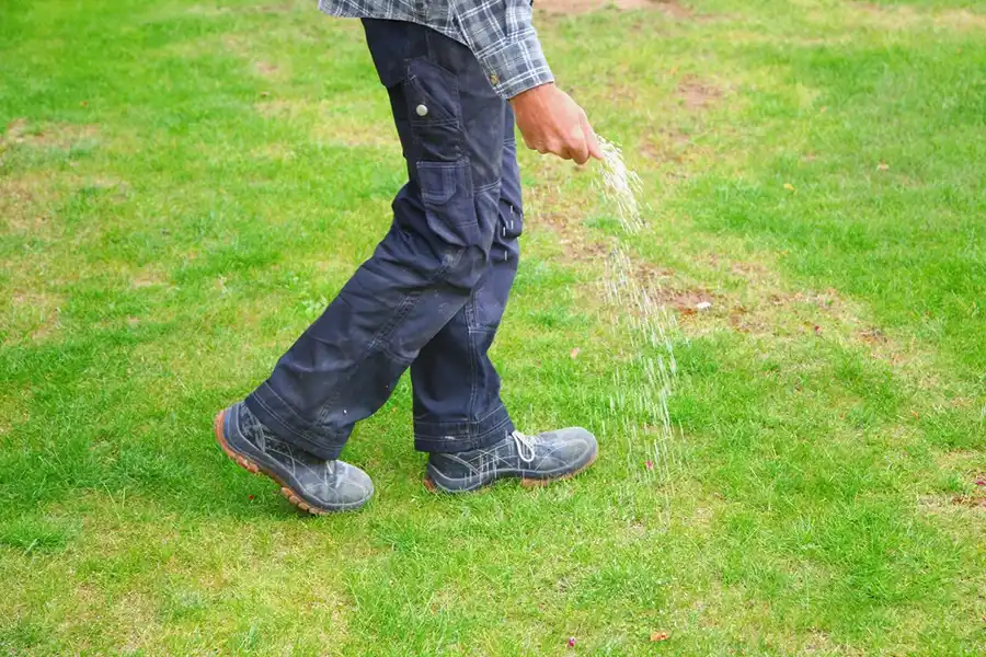 Lawn Maintenance