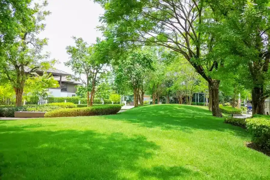 Importance Of Regular Lawn Maintenance For A Healthy Yard Middletown, NY Importance Of Regular Lawn Maintenance For A Healthy Yard Middletown, NY