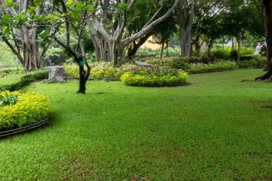 Key Steps To Keep Your Lawn Lush And Green Year-round Middletown, NY